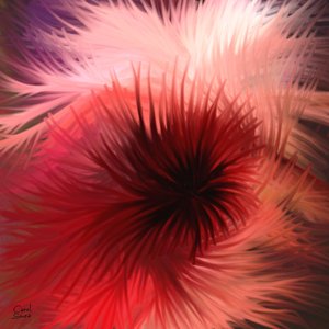 Licht- und Farbspirale von Carol Sousa Cuello
