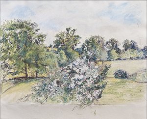 August aus unserem Fenster von Caroline Hervey Bathurst