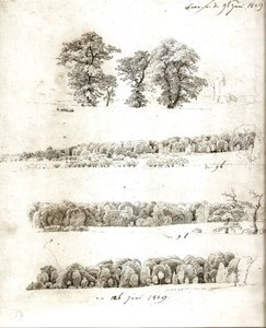 Baumstudien 1809 von Caspar David Friedrich