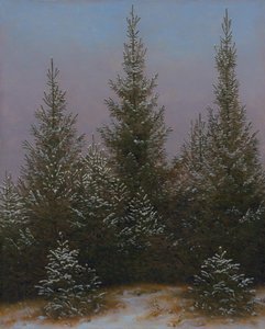 Fichtendickicht im Schnee (Aus der Dresdner Heide I) von Caspar David Friedrich