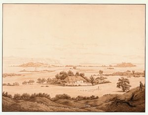 Rügenlandschaft mit Schäfer
