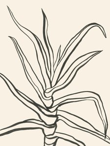 Minimalistische Pflanzenumrisse