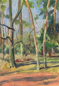 Sonniger Waldpfad von Catalina Somolinos