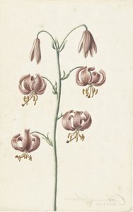 Zweig mit rotbraunen Lilien von Catharina Lintheimer
