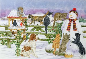 Der Schneemann und seine Freunde von Catherine Bradbury