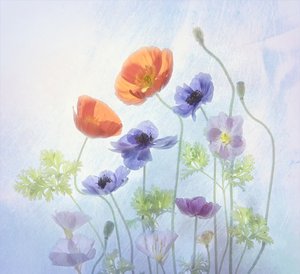 Bunte Ätherische Blüten