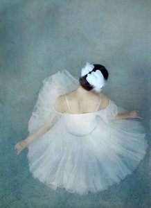 Elegante Ballerina-Schwan von Catherine Wang