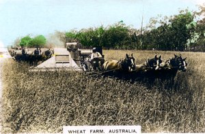 Grenfell-Weizenfarm, Australien, um 1920er Jahre
