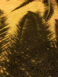 Komposition - Schatten, 2021 von Cécile Jamet