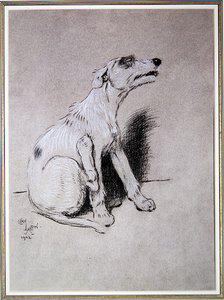 5:15 Aufgewacht durch einen schlimmen Ekzem-Anfall, Illustration aus A Dog Day von Walter Emanuel