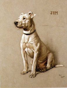 Jim, ein Bullterrier von Cecil Charles Windsor Aldin