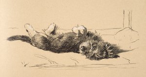Rauhaariger Dackelwelpe (Detail), 1930, Illustrationen aus seinem Skizzenbuch verwendet für Just Among Friends, Aldin, Cecil Charles Windsor (1870-1935), später veröffentlicht von Eyre und Spottiswoode Limited, 1934