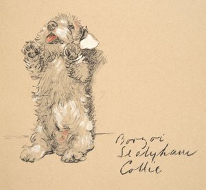 Sealyham, 1930, Illustrationen aus seinem Skizzenbuch verwendet für Just Among Friends, später veröffentlicht von Eyre und Spottiswoode Limited, 1934
