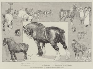 Die Shire Horse Show in der Royal Agricultural Hall von Cecil Charles Windsor Aldin