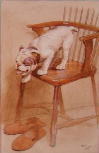 Lernen, die Höhe von Objekten zu berechnen, von denen man springen kann von Cecil Charles Windsor Aldin