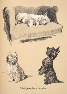 West Highlanders und Scotch, 1930, Illustrationen aus seinem Skizzenbuch verwendet für Just Among Friends, später veröffentlicht von Eyre und Spottiswoode Limited, 1934
