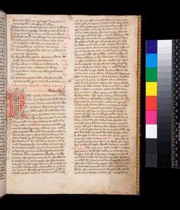Dekorierter Buchstabe [N] in roter Tinte mit Federverzierungen in brauner Tinte von Central Italian School