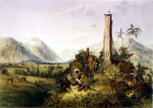 Pure-Piapa, ein bemerkenswerter Basaltstein in Guiana, aus 