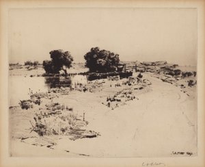 Cape Ann Weiden von Charles A. Platt