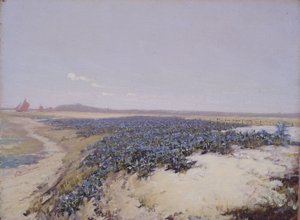 Blumenbedeckte Dünen von Charles Augustus Lasar