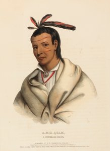A-MIS-QUAM, EIN WINNEBAGO TAPFERER, aus History of Indian Tribes of North America von Charles Bird King