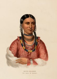 HAYNE-HUDJIHINI. DER ADLER DER FREUDE., aus Geschichte der Indianerstämme Nordamerikas von Charles Bird King