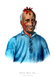Kishkalwa, ein Shawnee-Häuptling