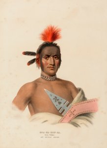 MOA-NA-HON-GA. GROSSER WANDERER. EIN IOWAY-HÄUPTLING., aus Geschichte der Indianerstämme Nordamerikas von Charles Bird King