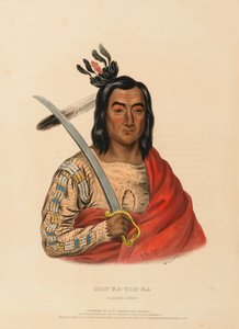 MON-KA-USH-KA. Ein Sioux-Häuptling, aus Geschichte der Indianerstämme Nordamerikas