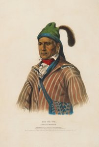 Me-na-wa - Ein Creek-Krieger von Charles Bird King