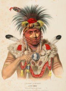 NE-SOU-A-QUOIT. Ein Fuchs-Häuptling, aus Geschichte der Indianerstämme Nordamerikas von Charles Bird King
