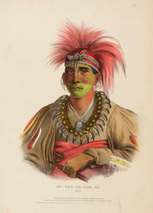 NO-WAY-KE-SUG-GA. OTOE., aus Geschichte der Indianerstämme Nordamerikas von Charles Bird King