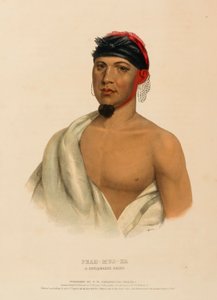 PEAH-MUS-KA. Ein MUSQUAKE-HÄUPTLING, aus der Geschichte der Indianerstämme Nordamerikas von Charles Bird King
