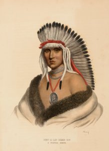 PET-A-LE-SHAR-RO. Ein Pawnee-Krieger, aus Geschichte der Indianerstämme Nordamerikas von Charles Bird King