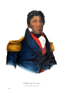 Pushmataha, ein Choctaw-Krieger