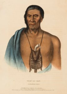 TISH-CO-HAN. EIN DELAWARE HÄUPTLING., aus Geschichte der Indianerstämme Nordamerikas