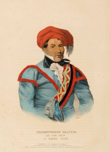 TUSTENNUGGEE EMATHLA, aus Geschichte der Indianerstämme Nordamerikas von Charles Bird King