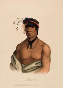 WESH-CUBB. Ein Chippewa-Häuptling, aus der Geschichte der Indianerstämme Nordamerikas von Charles Bird King