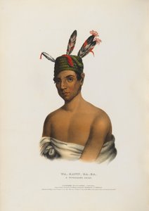 Wa-kawn-ha-ka - Ein Winnebago-Häuptling von Charles Bird King