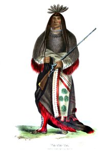 Wanata, Großhäuptling der Sioux