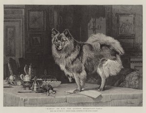 Marco auf dem Frühstückstisch Ihrer Majestät der Königin von Charles Burton