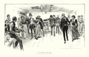 Die Salons von New York von Charles Dana Gibson