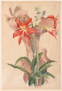 Amaryllis von Charles Demuth