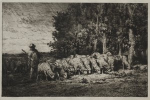 Eine Herde am Waldrand