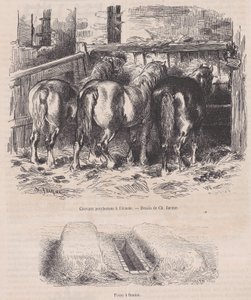 Percheron-Pferde im Stall, Mistgrube, aus Magasin Pittoresque, ca. 1852 von Charles Emile Jacque