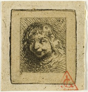 Kopf eines Bretonen von Charles Emile Jacque