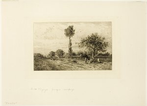 Landschaft mit kurviger Straße