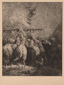 Schafgehege in Béarn