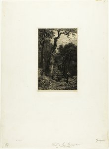 Schnepfenjagd