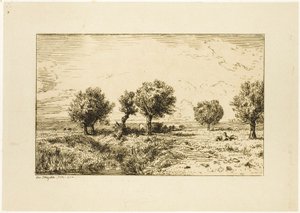 Weiden in einer Landschaft